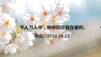 半生甘苦遇见你,邂逅你我——人生旅程的温馨回响