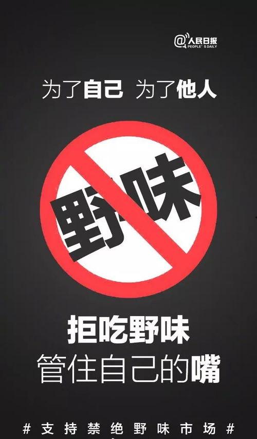 禁无可禁,揭秘网络时代下的监管困境与应对策略