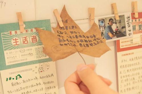 夏阳的轮回,穿越时空的传奇之旅