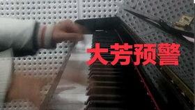 钢琴事故,惊心动魄的瞬间与反思