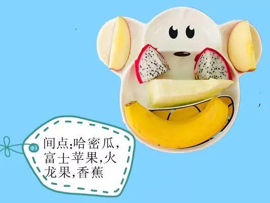 快乐萌宝有功夫,功夫小侠的成长传奇