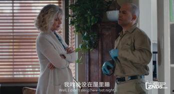 我们梦中见,揭秘梦中奇遇之旅